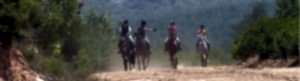 arazi042b